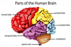 guide to traumatic brain injury